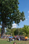 Pielgrzymka Kółek Różańcowych do Leśnej Podlaskiej - fotorelacja