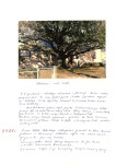 Kronika Parafialna 1987-2003